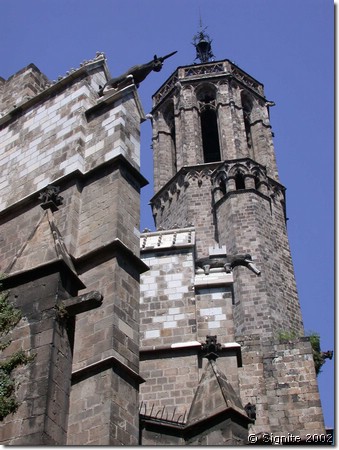 DSCN8038.JPG