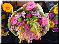 DSCN7347.JPG