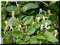 DSCN7473.JPG