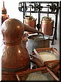 DSCN7508.JPG