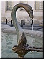 DSCN7726.JPG