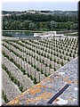 DSCN7817.JPG