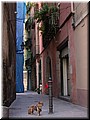 DSCN8043.JPG