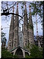 DSCN8133.JPG