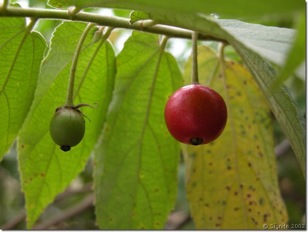 DSCN5612.JPG