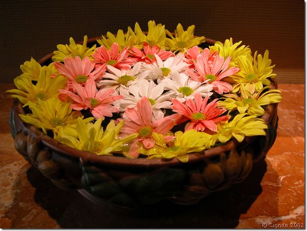 DSCN5642.JPG