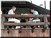 DSCN5577.JPG