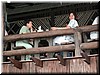 DSCN5578.JPG