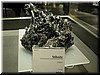 DSCN5598.JPG
