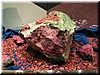 DSCN5601.JPG