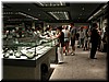 DSCN5602.JPG