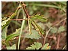 DSCN5606.JPG