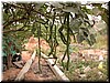 DSCN5609.JPG