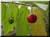 DSCN5612.JPG