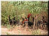 DSCN5614.JPG
