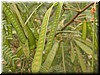 DSCN5615.JPG