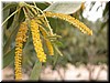 DSCN5617.JPG