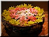 DSCN5642.JPG