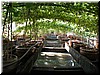 DSCN5652.JPG