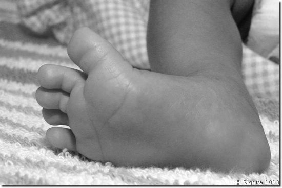 0215760bw.jpg