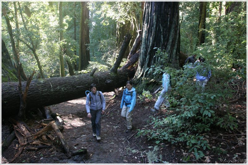Click to view next image