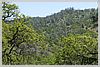View from Alquist Trail