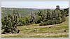 View from Alquist Trail