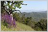 View from the Hartman trail