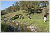 Hikers continue onto Kingbird Pond