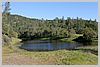 Kingbird Pond