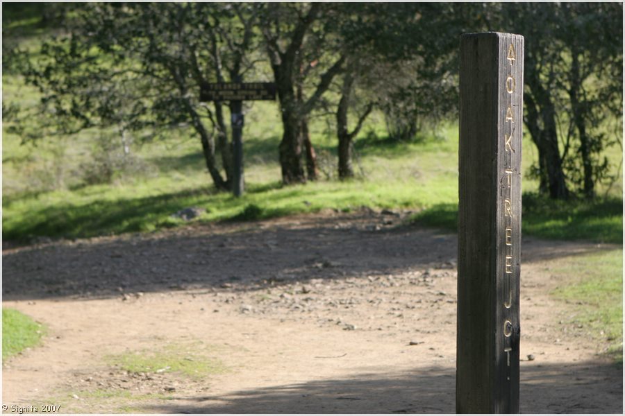 Click to view next image