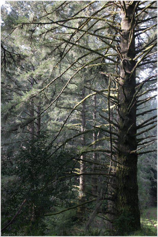 Click to view next image