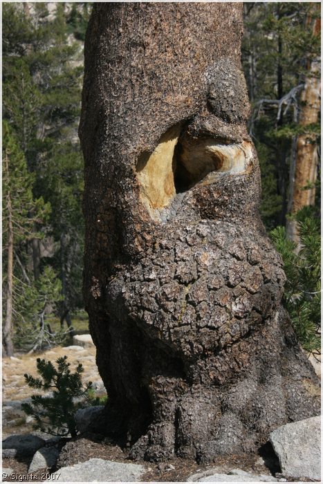 Click to view next image