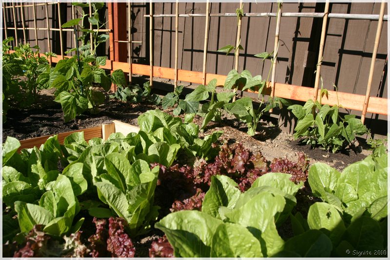 Click to view next image